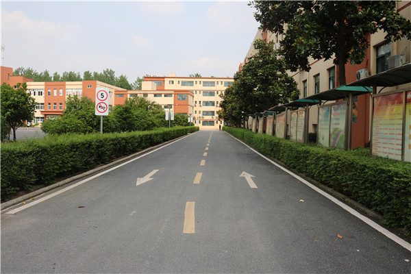 校园道路